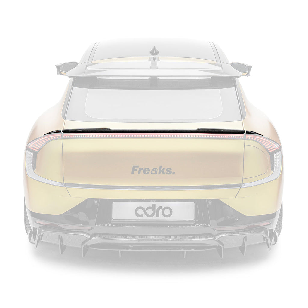 KIA EV6 CARBON FIBER SPOILER