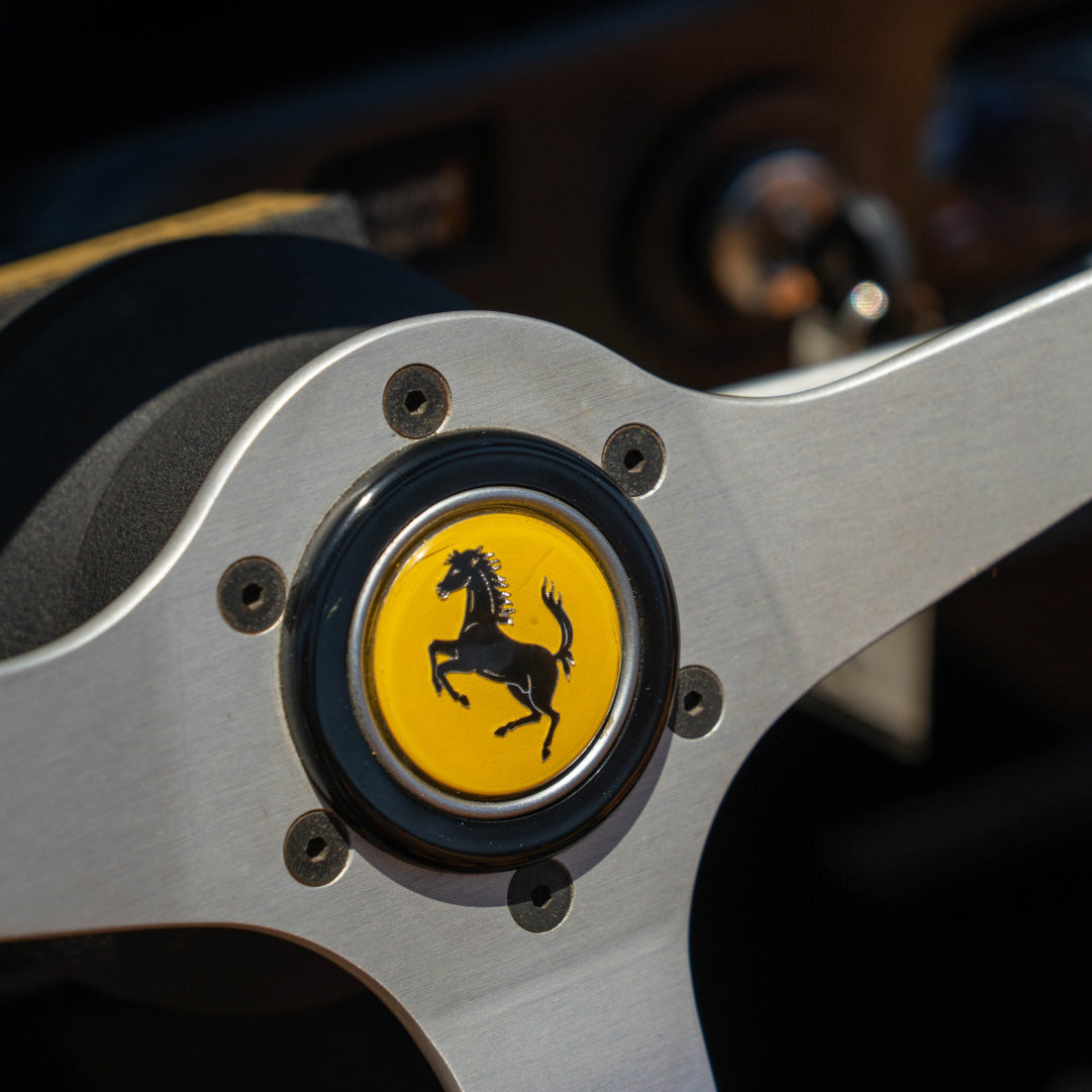 Ferrari Horn Button Silver Lip